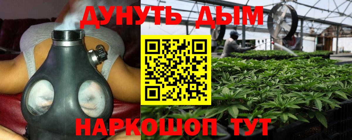 Туймазы  Бошки марихуана AK-47  Вход с VPN  Канабис сатива  Марихуана индика 